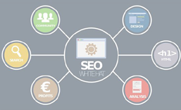 佛山网站SEO 优化  推广